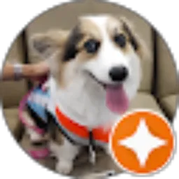 Review From Chloe Corgi
