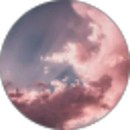 Review From Roni