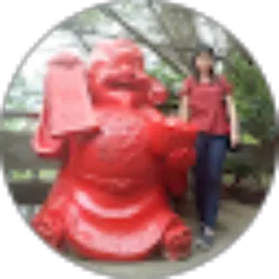 Review From Sheila Wijaya