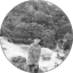 Review From Andri Saputra