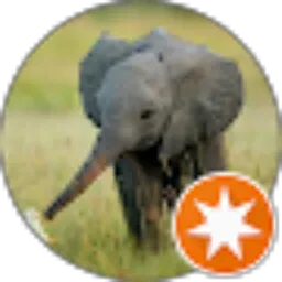 Review From Glizerynt Gajah Family Channel