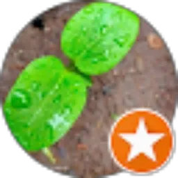 Review From agus budi wahyudi