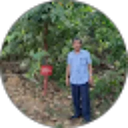 Review From Samsul A Yani