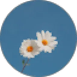 Review From Asti Mulyaa