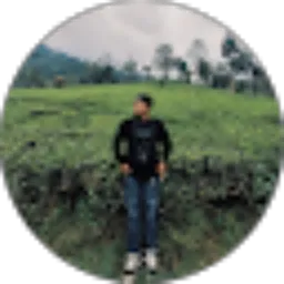 Review From Muhammad Alfian NF