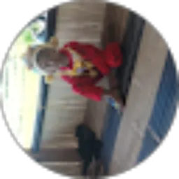 Review From Sulin Wijayanto