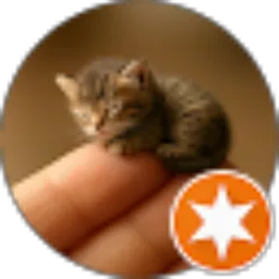 Review From Imbranc 9999