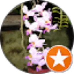 Review From Fajar Dwiyanto Milan