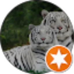 Review From tony chang