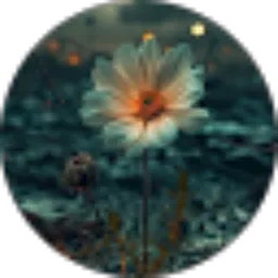 Review From Fitri Ani