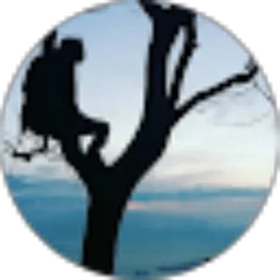 Review From Marwan Ahmad