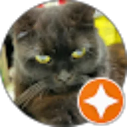 Review From Erna deryan