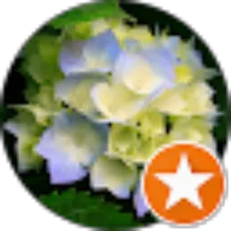 Review From caroline giovani