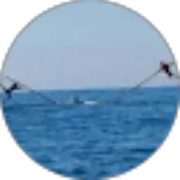 Review From yongky antonius