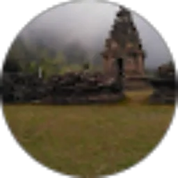 Review From Martha Ardiaria