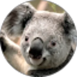 Review From intan mp