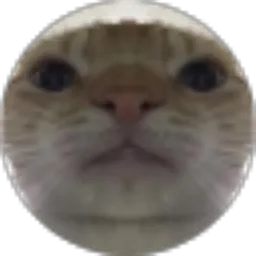 Review From aqshalxixixi