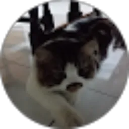 Review From Nabila Aulia Ramadhani