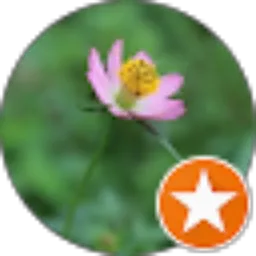 Review From Andriani Lina