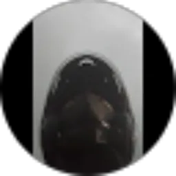 Review From Silvia Faradila