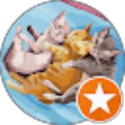 Review From Avisa Callysta R