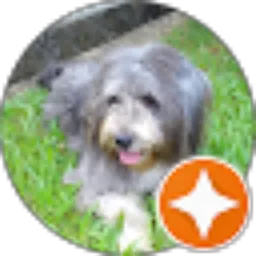 Review From Maria Christin