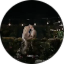 Review From fizzi pranata