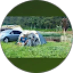 Review From Arif Budiyanto