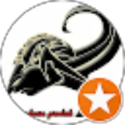 Review From Sheem Vedan