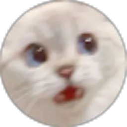 Review From Wahyu Ramadhan