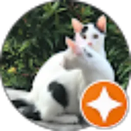 Review From Kucing Miawmiaw