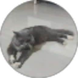 Review From Amelia Andhayani