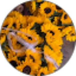 Review From Yunita Arifin