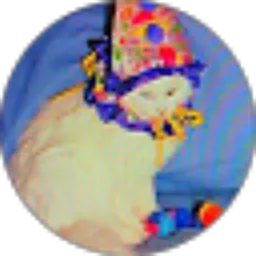 Review From Syifa Amaliah Putri