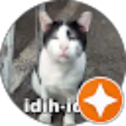 Review From Widya Astuti