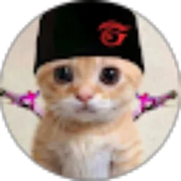 Review From Dabru Official