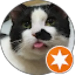 Review From Katina Setya