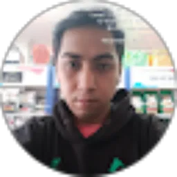 Review From Budi Setiawan