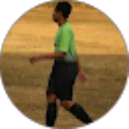 Review From Ibnu wahyu Saputra