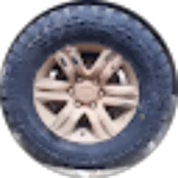 Review From Roni Malik