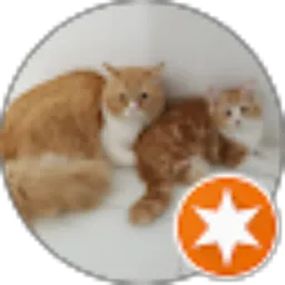 Review From Anisa Putri