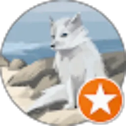 Review From Leli Hernita