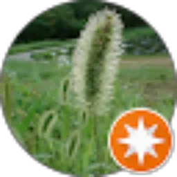 Review From 노영태