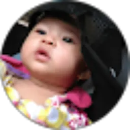 Review From The Albanjari