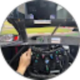 Review From Budianto