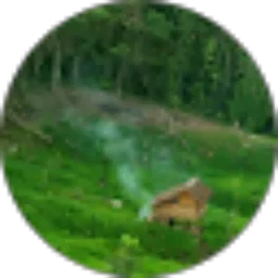 Review From Mirza Erdi