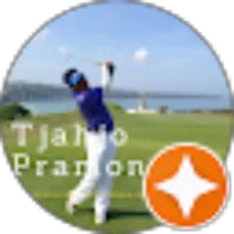 Review From Tjahjo Pramono