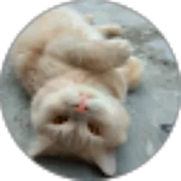 Review From Innorawati Wibisono