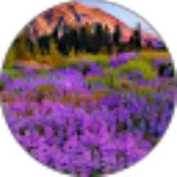 Review From Mia Rosmiati