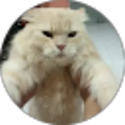 Review From Rizqibaik YT